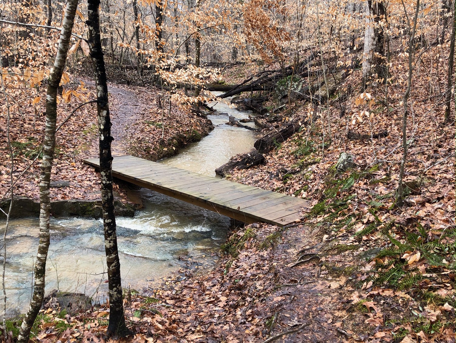 Rock Creek Trail